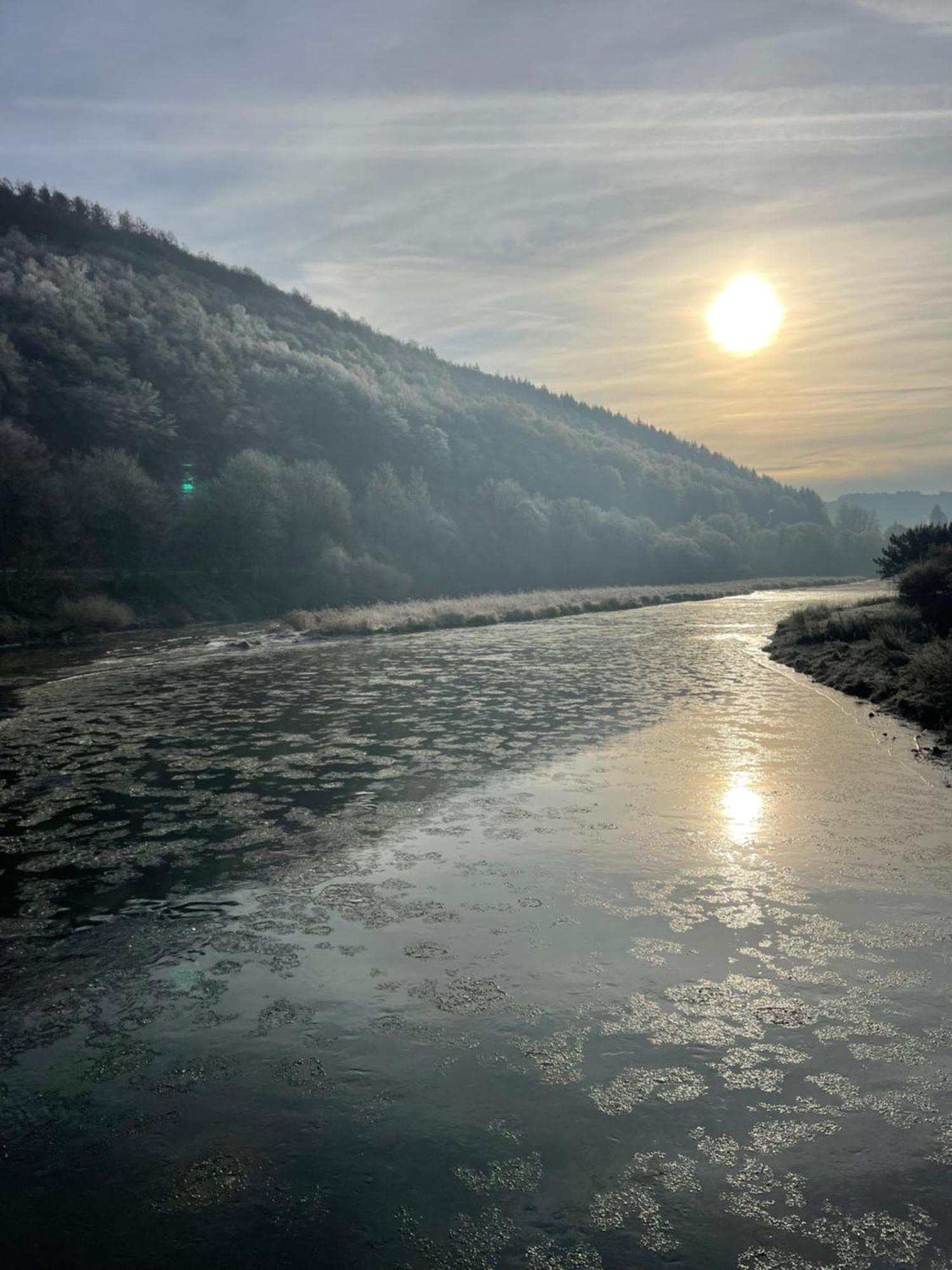La Petite Passerelle A Mouzaive Vresse-sur-Semois Buitenkant foto